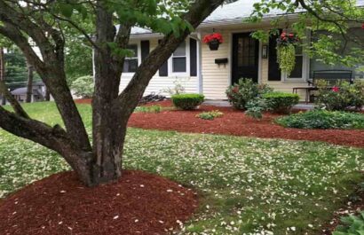 Commercial Landscaping