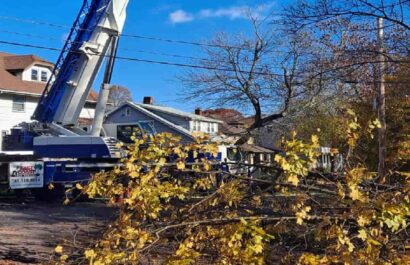 24/7 Emergency Tree Services