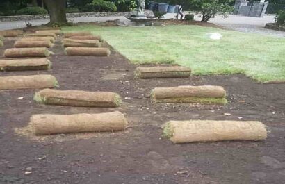 Sod Installation